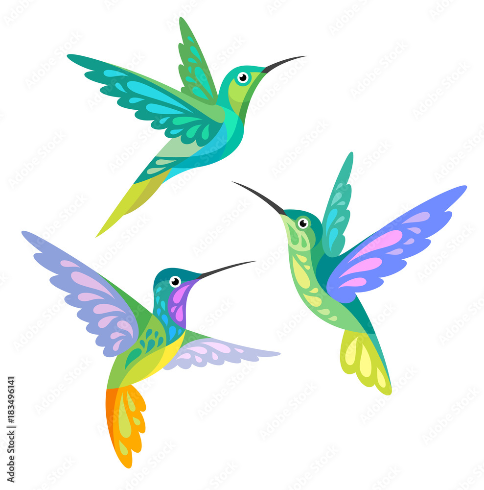 Poster Stylized Birds - Hummingbirds