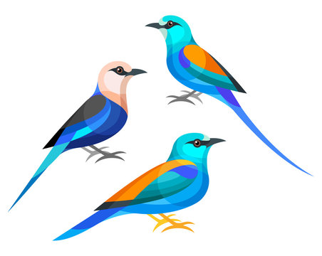 Stylized Birds - Abyssinian, Blue-bellied , European Roller