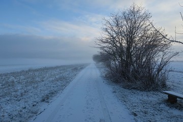 Obraz na płótnie Canvas Schneebedeckter Feldweg bei Steinenbronn am Morgen