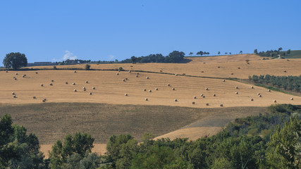 Landscape near Loreto Aprutino (Abruzzi) at summer