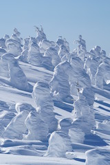 Fototapeta na wymiar 東北森吉山は樹氷モンスターに覆われていました。