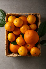 oranges and tangerines above