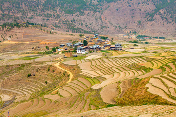 Rice field and Bhutanese Village