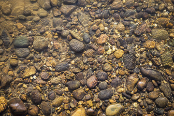 Natural concept background of crystal clear river water reflection on natural stone 