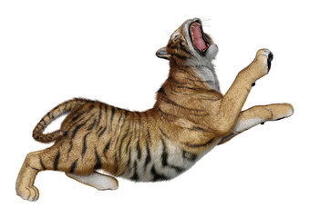 3D Rendering Big Cat Tiger on White