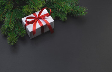 Christmas tree branch and gift box