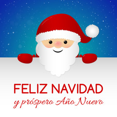 Feliz Navidad - Merry Christmas in Spanish. Concept of Christmas card with decoration. Vector.