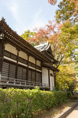 Hamacho Park in autumn