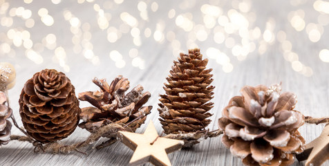 pine cone with copy space