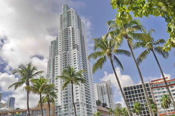 Skyscrapers in Miami, Florida, USA