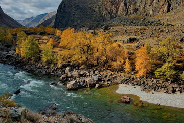 Russia. The South Of Western Siberia, Autumn in the Altai mountains