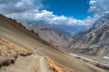 Trekking path in Himalayan mountains