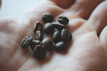 Detalle de granos de café sobre la palma de la mano
