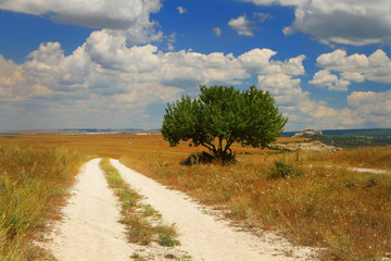 Mediterranean landscape with a road