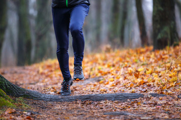 Fototapeta premium Autumn trail running background. Man running in fall park