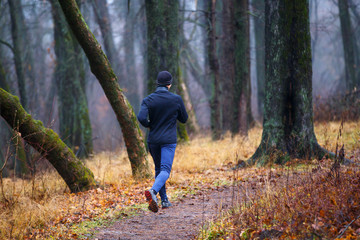 Trail running in autumn park. Back view of young man jogging in fall misty forest