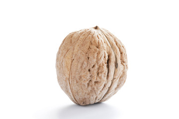Walnut close up on a white background.