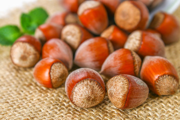 Walnut hazelnuts scattered on sackcloth on a white wooden table.