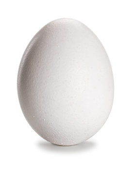 One white egg, close-up
