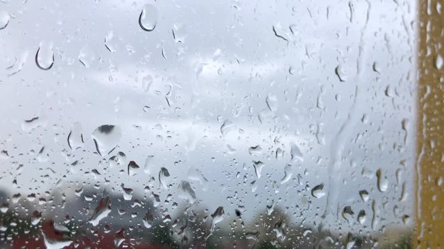 Rainy day from inside Cinemagraph Loop