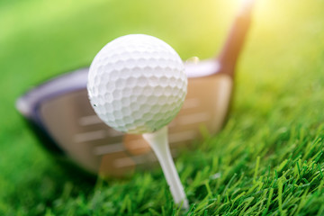 Golf club and ball on green grass