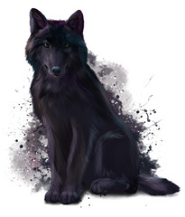 Black wolf watercolor painting © Kajenna