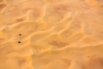 Sand Dunes From Above