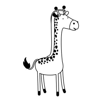 giraffe cartoon black silhouette in white background vector illustration