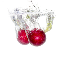 radish in water isolated on white background