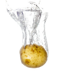 potatoes in water isolated on white background