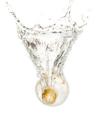 mushrooms champignons in water isolated on white background