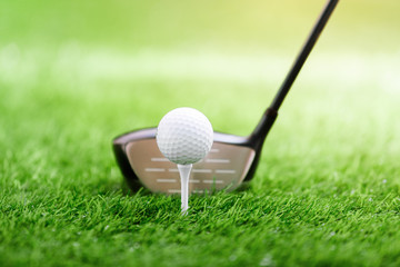 Golf club and ball on green grass