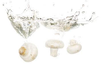 mushrooms champignons in water isolated on white background