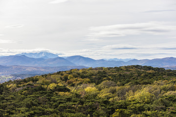 Fototapeta premium green forest and mountains landscape 