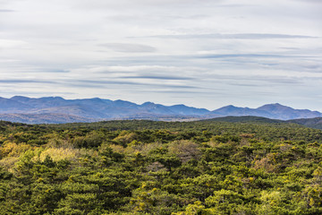 green forest and mountains landscape 