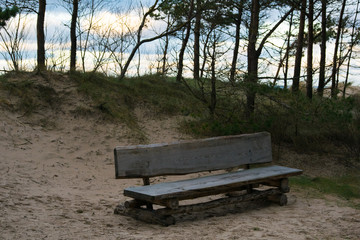 Bench in dune