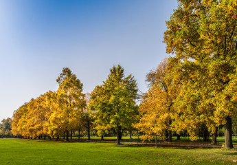 Naklejka premium 0264-jesień w Schloss Dyck