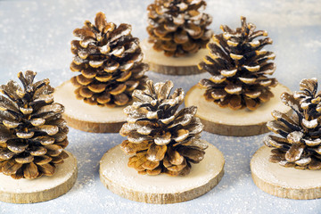 pine cones craft ideas