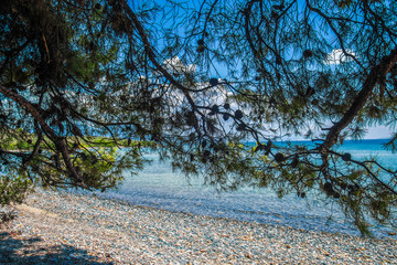 Fototapeta premium beautiful wild beach in Greece