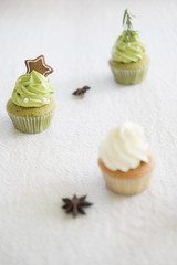Christmas homemade cupcake and gingerbread cookies.