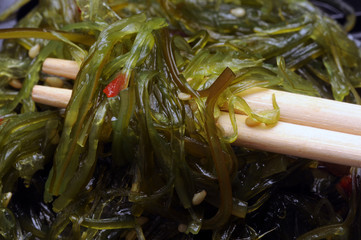 Algae Tảo Alghe Levä Alge Alga Glony Salad 藻類 Insalata Водоросли Algue 조류 Salada Φύκη 수생 생물 Cuisine Alger Cocina Cucina אצות © Comugnero Silvana