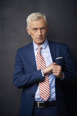 Senior businessman portrait