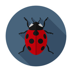 Fototapeta premium Ladybug icon flat