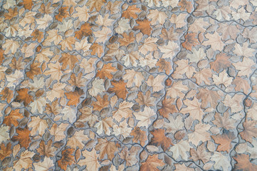 Stone floor with autumn leaves