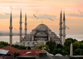 Fototapeta na wymiar Blue Mosque and Bosphorus
