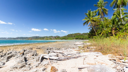 Costa Rica, Samara beach,  panoramic view with palms on a sunny day