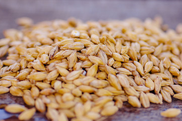 Close up of wheat over a wooden table