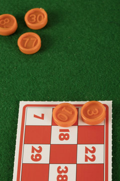 lotto bingo tombala gambling game