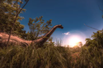 Photo sur Plexiglas Dinosaures Dinosaur in Tall Grass at Sunrise - Photoshop Compositing