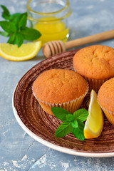 Homemade, lemon muffins with honey and mint on a concrete background